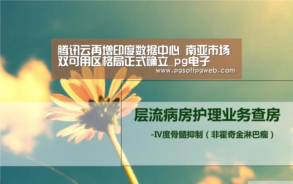 pg娱乐中心官网