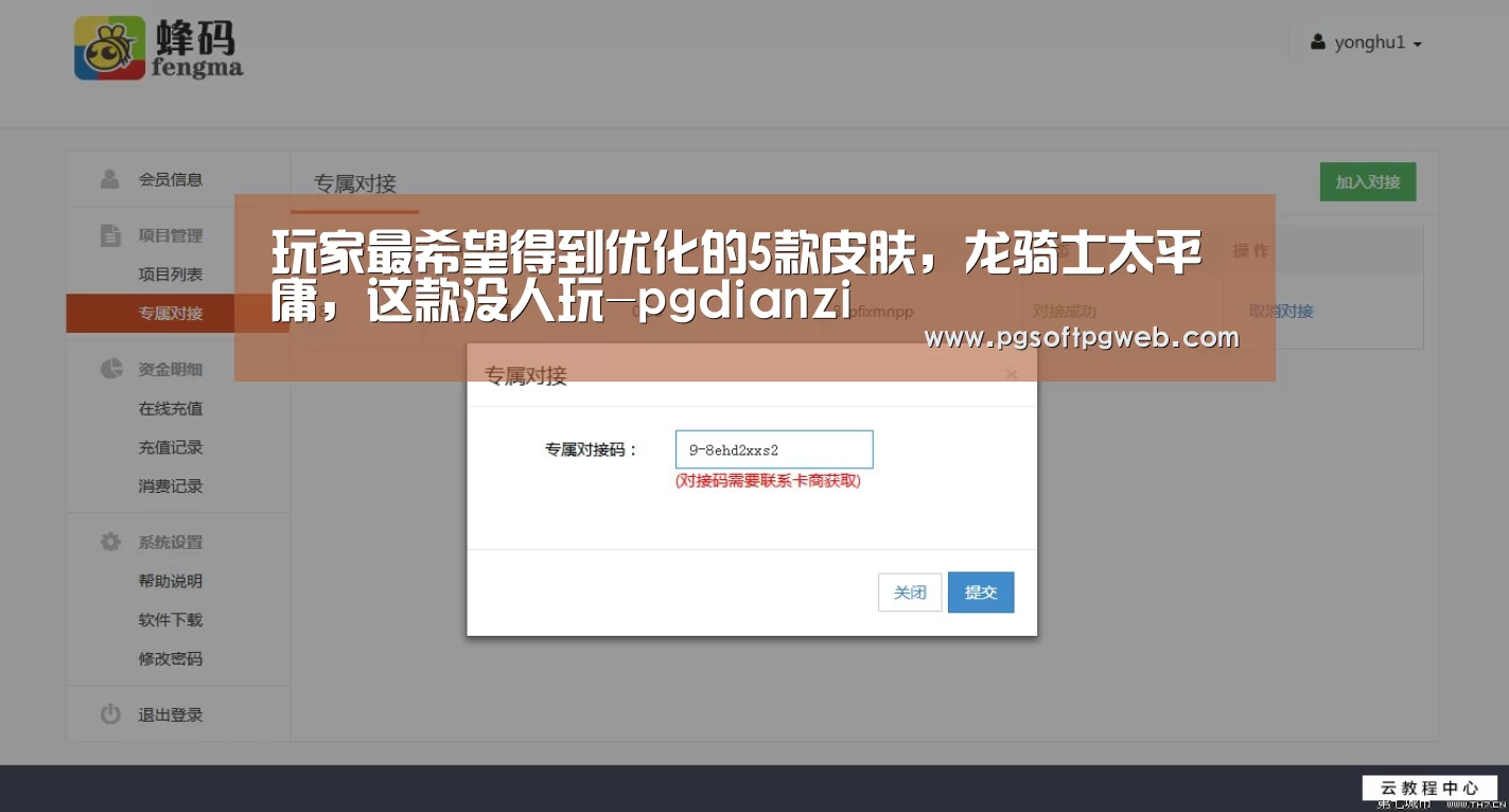 玩家最希望得到优化的5款皮肤,龙骑士太平庸,这款没人玩-pgdianzi(图4) 玩家最希望得到优化的5款皮肤,龙骑士太平庸,这款没人玩-pgdianzi(图4)
