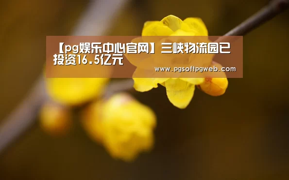 【pg娱乐中心官网】三峡物流园已投资16.5亿元(图3) pg娱乐中心官网