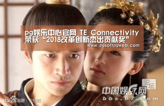 pg娱乐中心官网_TE Connectivity荣获“2018改革创新杰出贡献奖”(图2) pg娱乐中心官网_TE Connectivity荣获“2018改革创新杰出贡献奖”(图2)