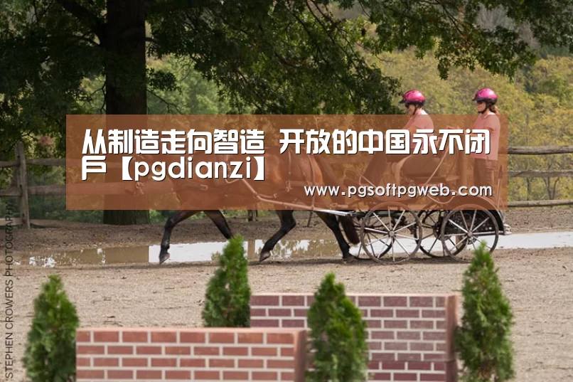 从制造走向智造 开放的中国永不闭户【pgdianzi】(图1) 从制造走向智造 开放的中国永不闭户【pgdianzi】(图1)