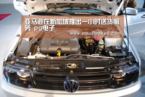 亚马逊在新加坡推出一小时送货服务_pg电子(图1) 亚马逊在新加坡推出一小时送货服务_pg电子(图1)