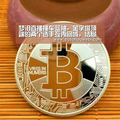 梦泪直播撞车蓝袖,金字塔顶端的两个选手互秀回城,结局我笑了!_pg娱乐中心官网(图1) pg电子