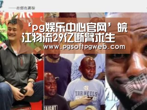 ‘pg娱乐中心官网’皖江物流29亿断臂求生 大股东将实施重组(图3)